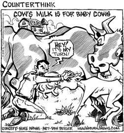cows_milk_600
